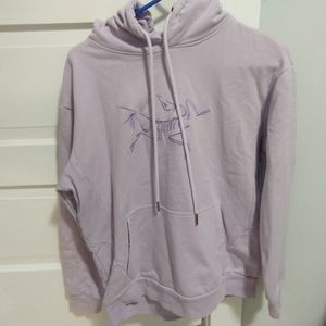 Palace x Arc'teryx Hoodie